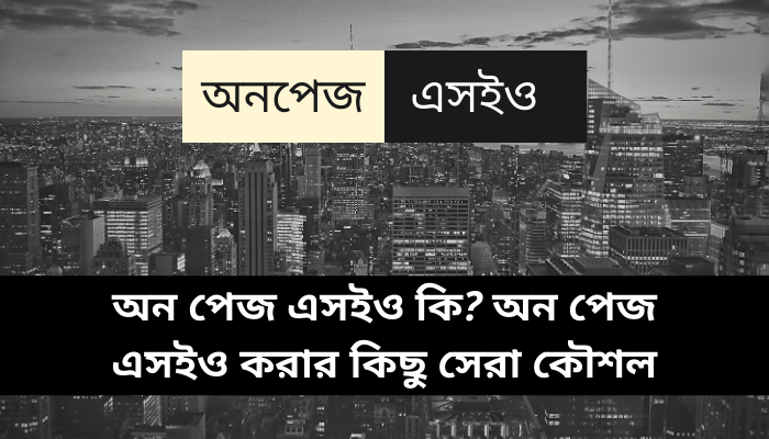 অন পেজ এসইও কি? অন পেইজ এসইও করার কিছু সেরা কৌশল