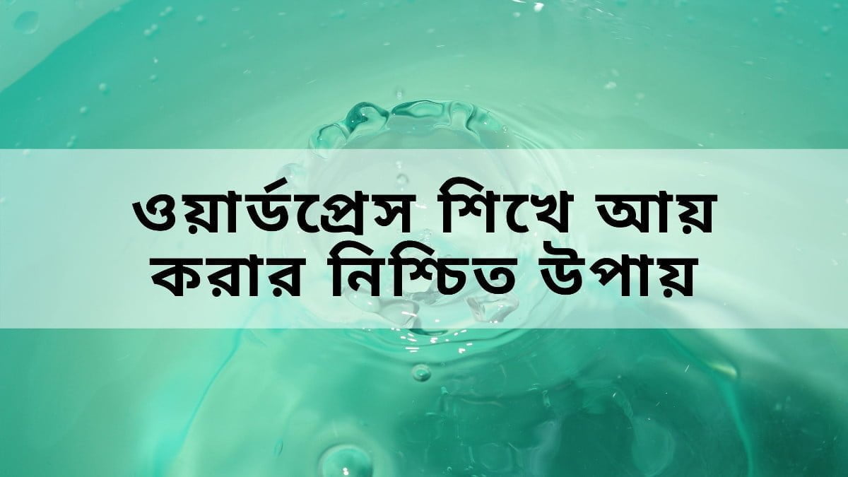 কিভাবে ওয়ার্ডপ্রেস শিখে আয় করা যায়?