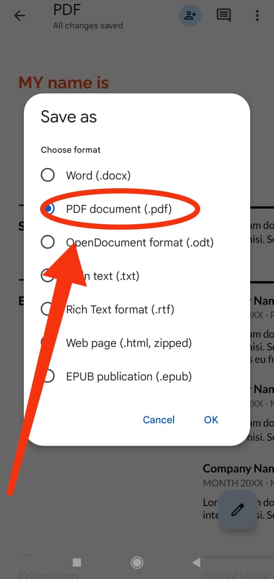 গুগল ডকস এ ফাইল সেভ করার সময় পিডিএফ ফরম্যাট নির্বাচন করুন