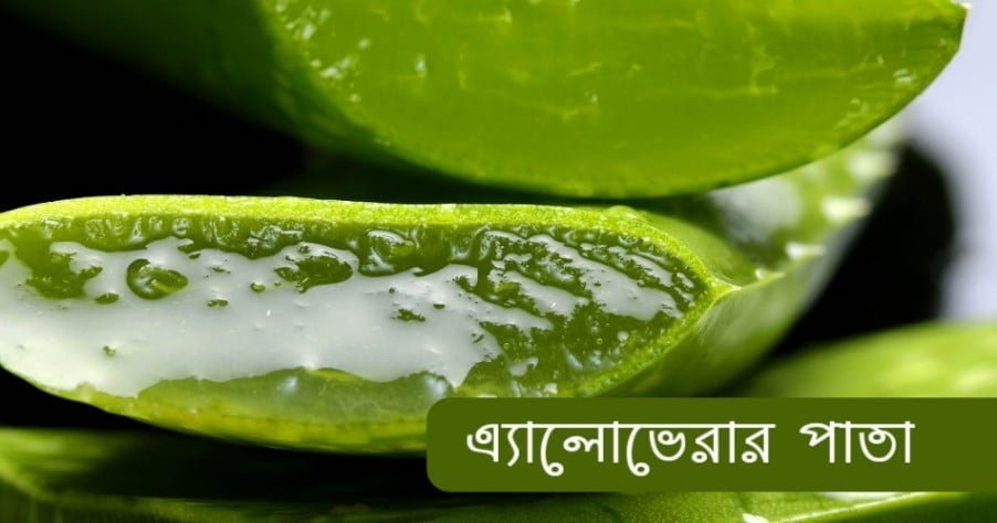 পাতলা চুল ঘন করার জন্য এ্যালোভেরা ব্যবহার